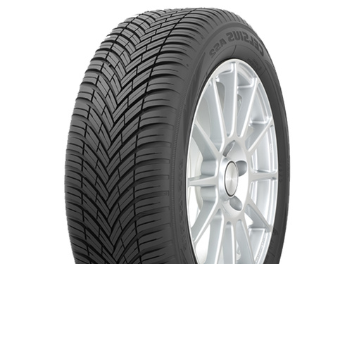 Toyo Celsius AS2 - фото 1