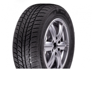 Зимові шини 205/55 R16 Roadx RXFrost WH01 205/55 R16 91H