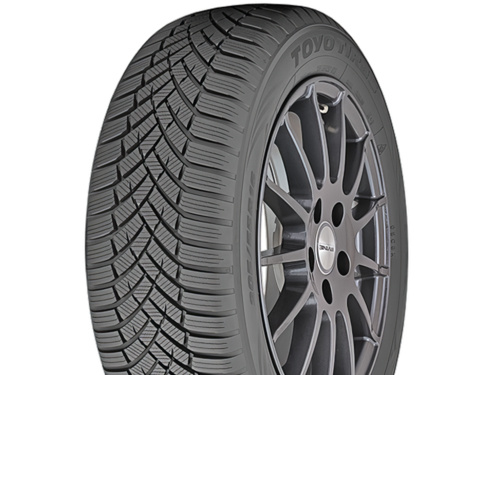 Toyo Observe EWS1 - фото 1
