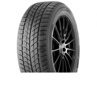 Шини Doublestar Doublestar WINTERKING DW09 R17-R20