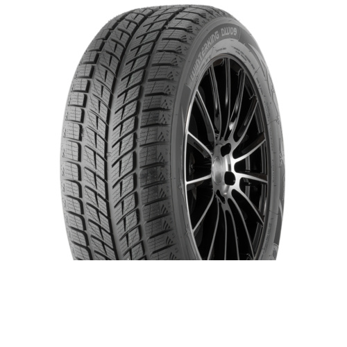 Doublestar WINTERKING DW09 - фото 1