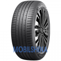Tercesis ECO