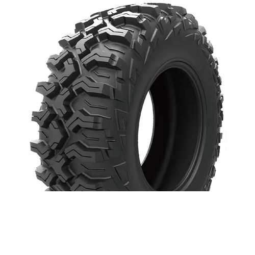 Arisun BRUISER VT AR30 (квадроцикл) - фото 1