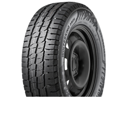 Doublestar Winterking DW06 - фото 1