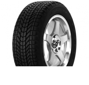 Шини Firestone Firestone WinterForce R16