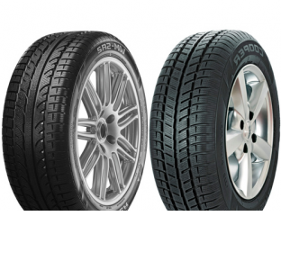 Шини Cooper Cooper Weather-Master SA2 R15