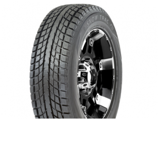 Шины Cst Cst SNOW TRAC SCS1 R15