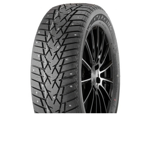 Doublestar WINTERKING DW01 - фото 1