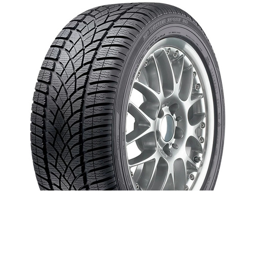 SP Winter Sport 3D - фото 1