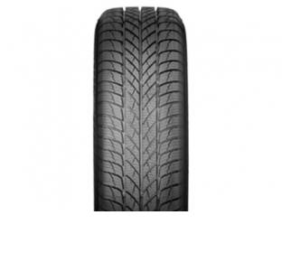 Шины Paxaro Paxaro INVERNO R17-R18