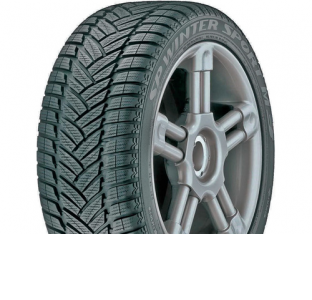Шини Dunlop Dunlop SP Winter Sport M3 R18
