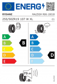 Rydanz Raleigh R06 255/50 R19 107W XL Eurolabel