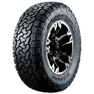 Шины Всезезонные 285 R20 Roadcruza RA1100 A/T 285/50 R20 119/116S OWL