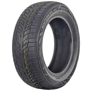 Зимові шини R15 Doublestar WINTERKING DW08 175/65 R15 84T