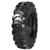 Вантажні шини Rockbuster Rockbuster G2/L2 H168 (индустриальная) R20-R25
