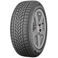 Шини Зимові Dayton DW 510 R15