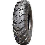 Грузовые шины Neumaster Neumaster W-16 E-2 (универсальная) R21