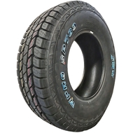 Шины Sportrak Sportrak WPRO SP789 R15