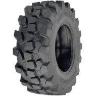 Вантажні шини Forerunner Forerunner R-4 QH702 (индустриальная) R24