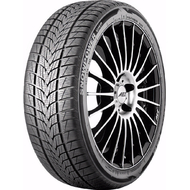 Шини Зимові 255 45 Tristar Snowpower UHP 255/45 R19 104V XL