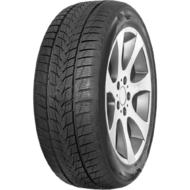 Шини Зимові 40 R18 Minerva Frostrack UHP 225/40 R18 92V XL