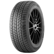 Шины Зимние 55 Doublestar WINTERKING DW09 215/55 R18 95H